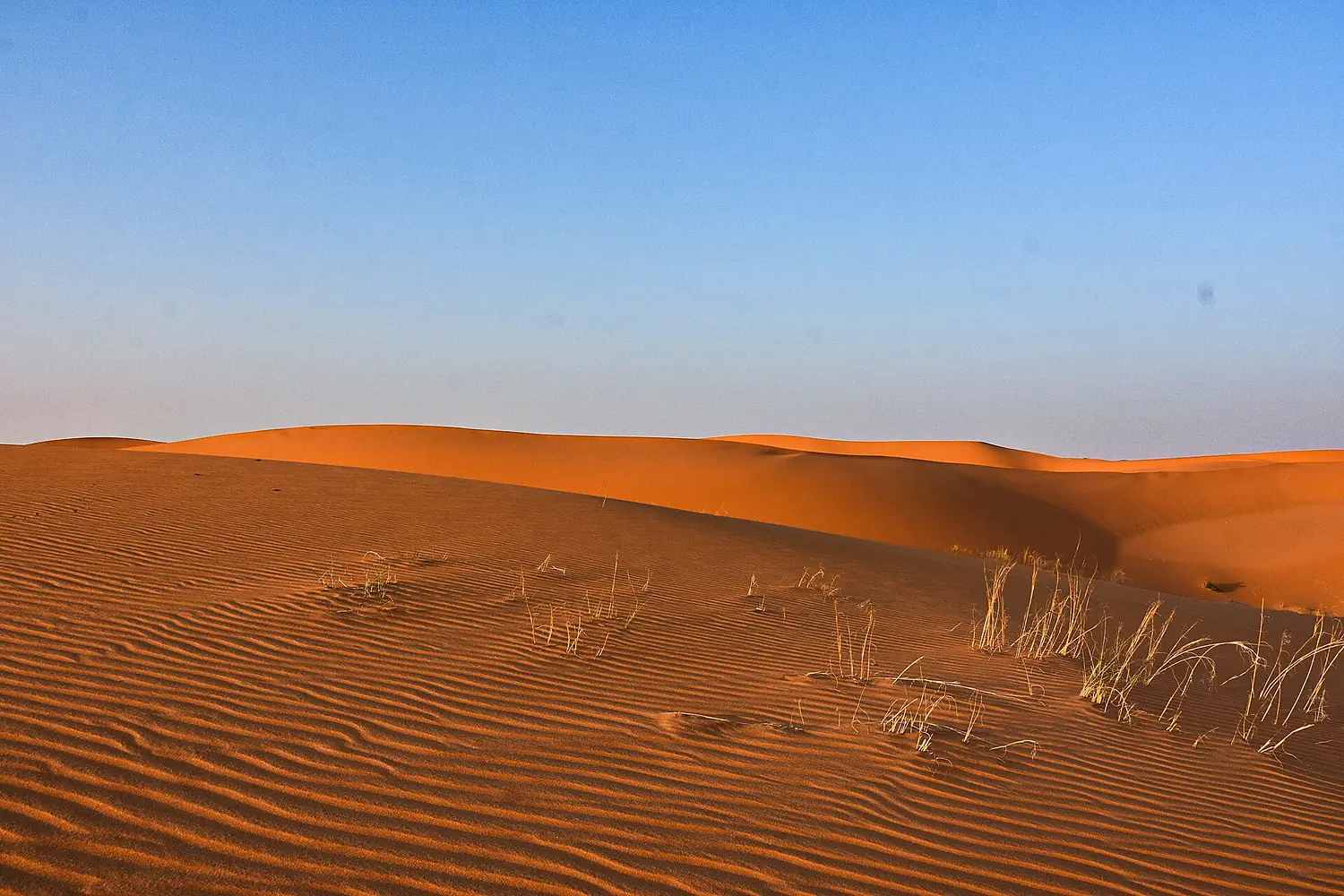 Sands of al-Dahna, eastern Saudi Arabia (4) (50620707316)