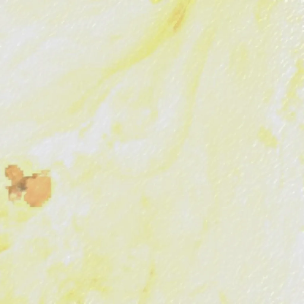 Alvord Desert seen from above (Sentinel-2)