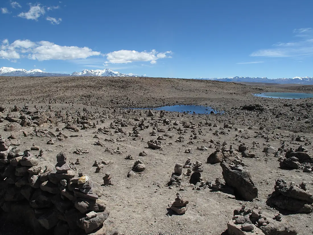 Peru Arequipa Reserna Nacional Salinas Y Aguado Blanca