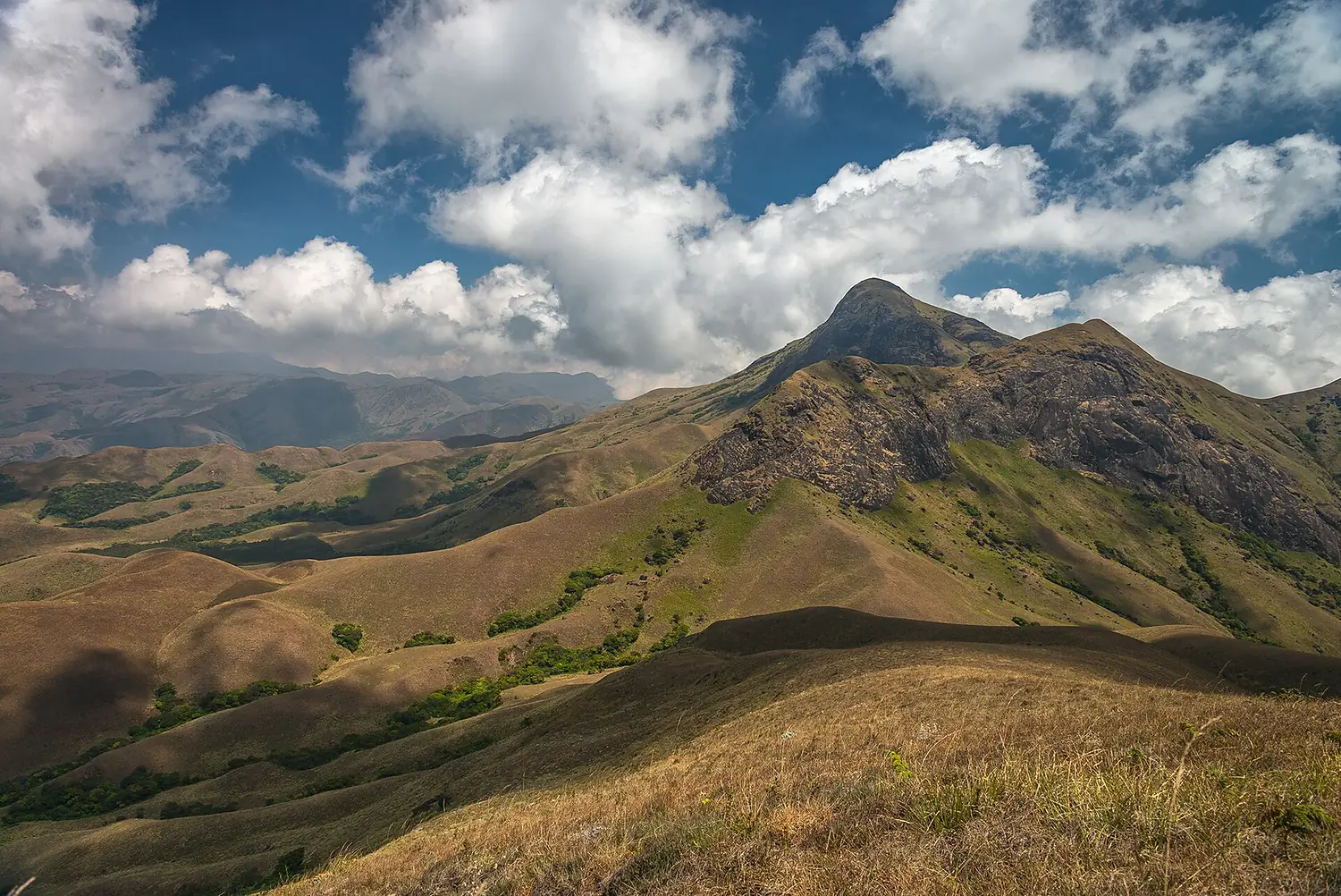 AnaimudiPeak DSC 4834