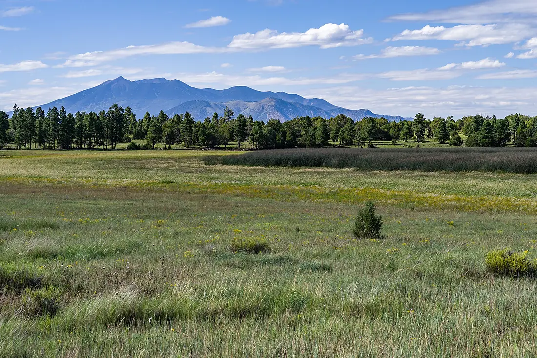 Arizona Trail- Anderson Mesa AZT-30 (37052855295)