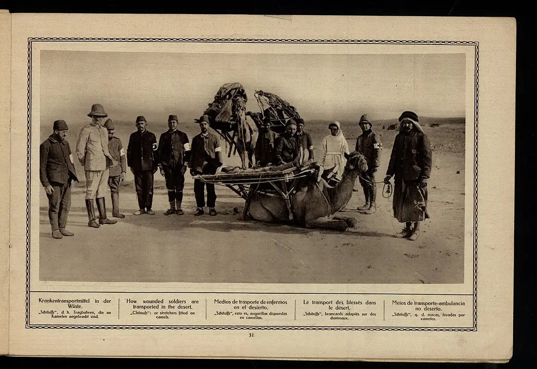 How wounded soldiers are transported in the desert WW1