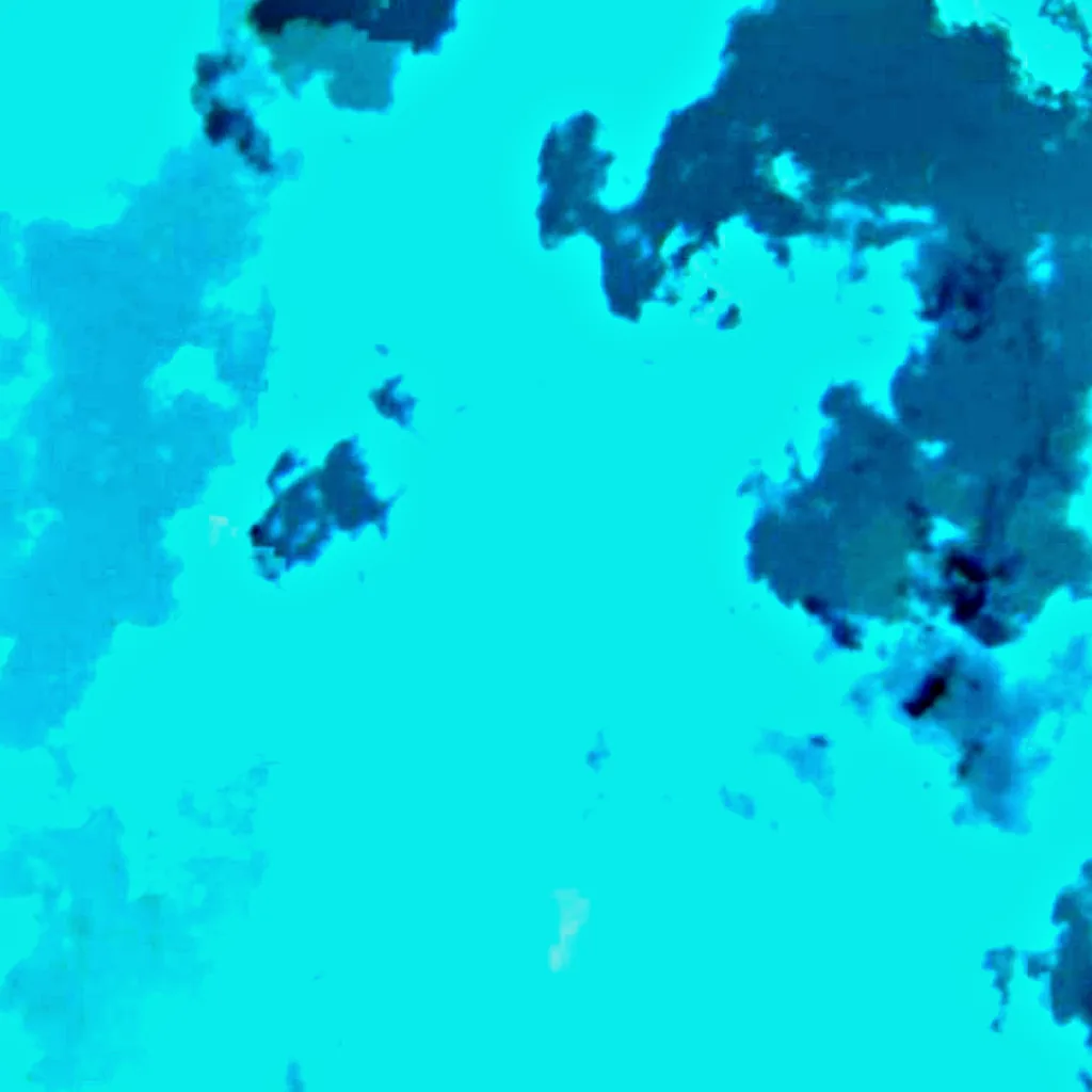 Argentino Lake seen from above (Sentinel-2)