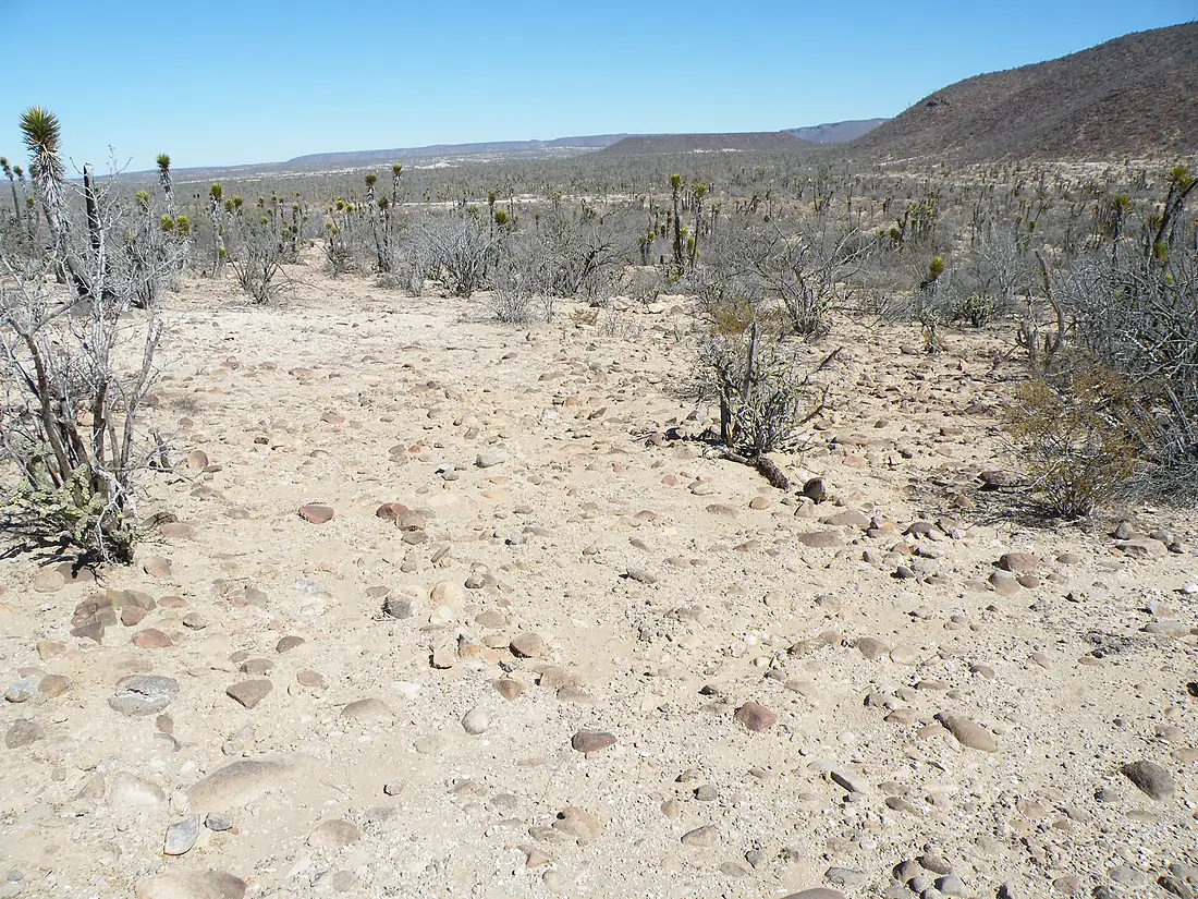 Viscaino, Baja California Sur (5782803506)