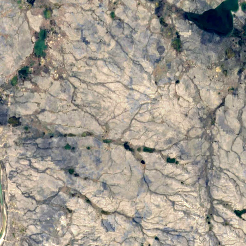 Banks Island seen from above (Sentinel-2)