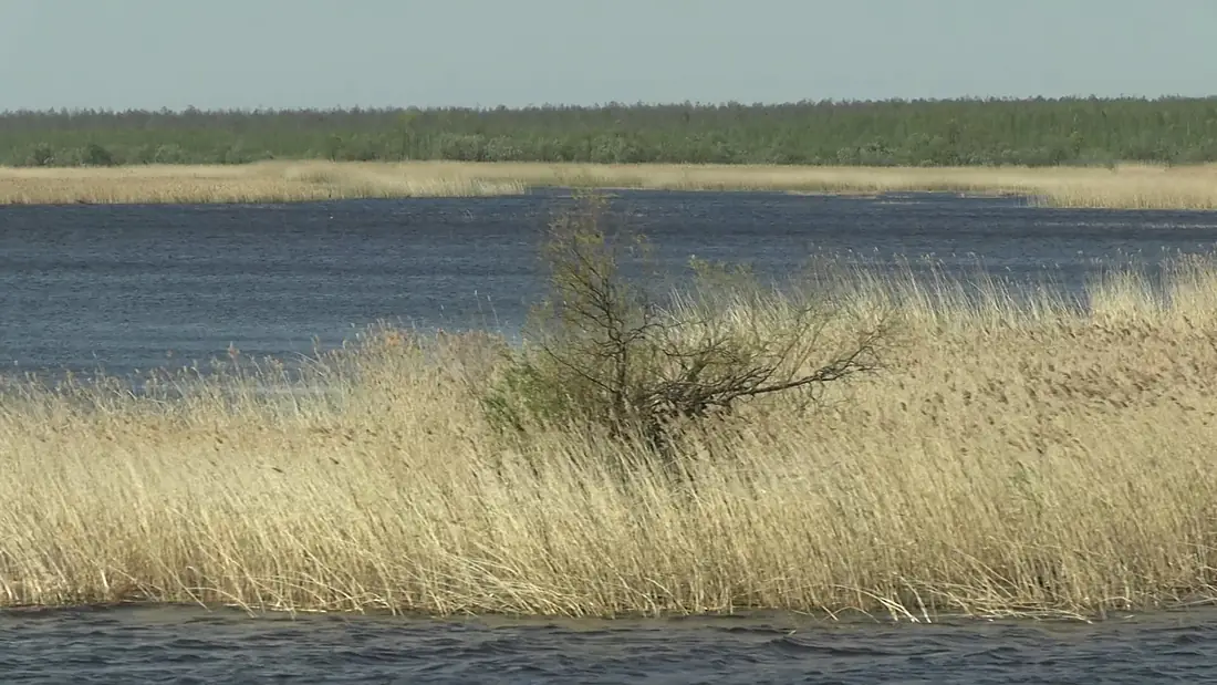 20210520 Lake Beloye (Vologda Oblast) 02