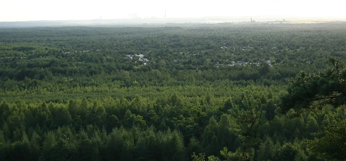 Bledow Desert seen from Czubatka