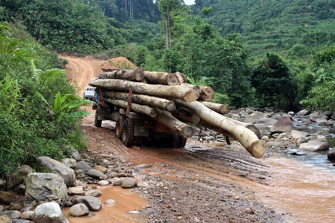 Logging in Borneo (3540116932)