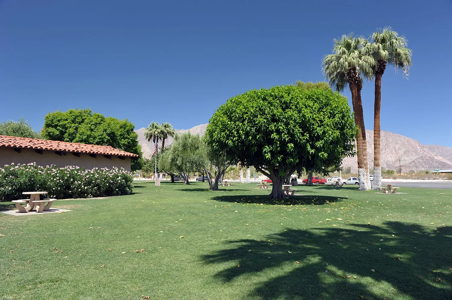 Christmas Circle view of Borrego Springs, CA.