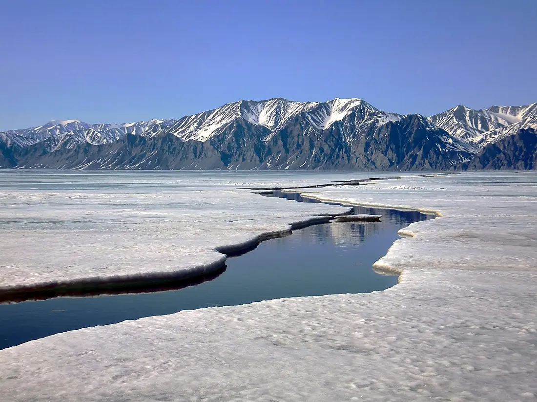 Bylot Island from sea ice