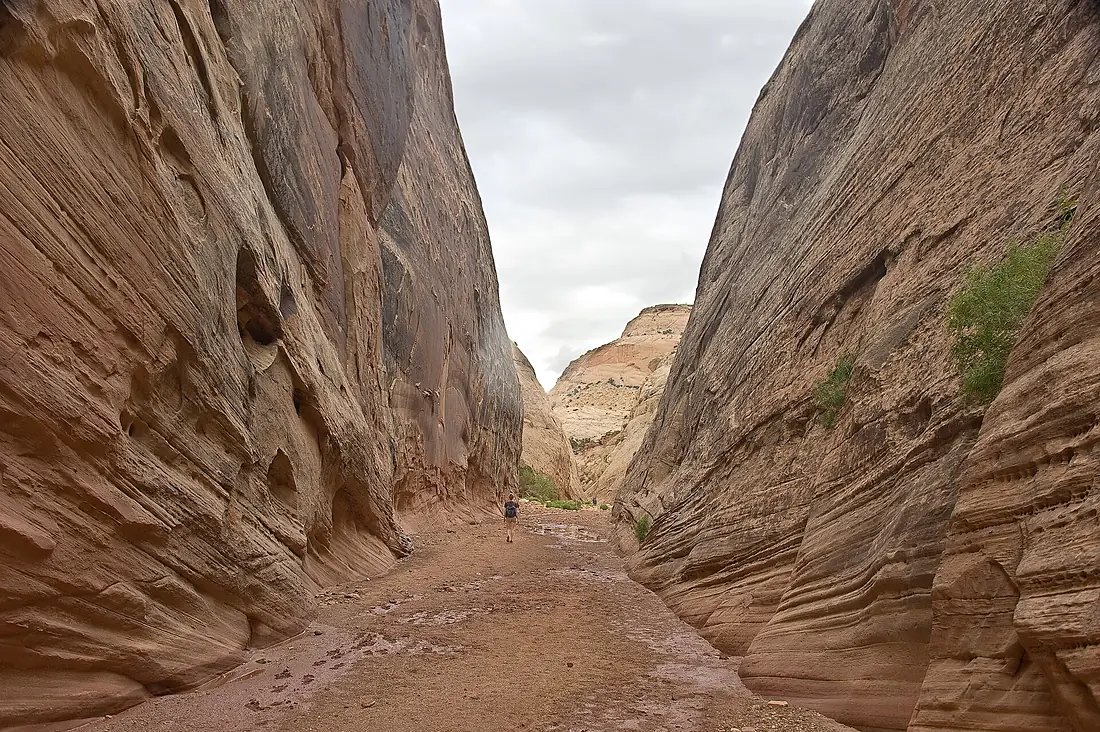 Capitol Gorge - 2016-07-01