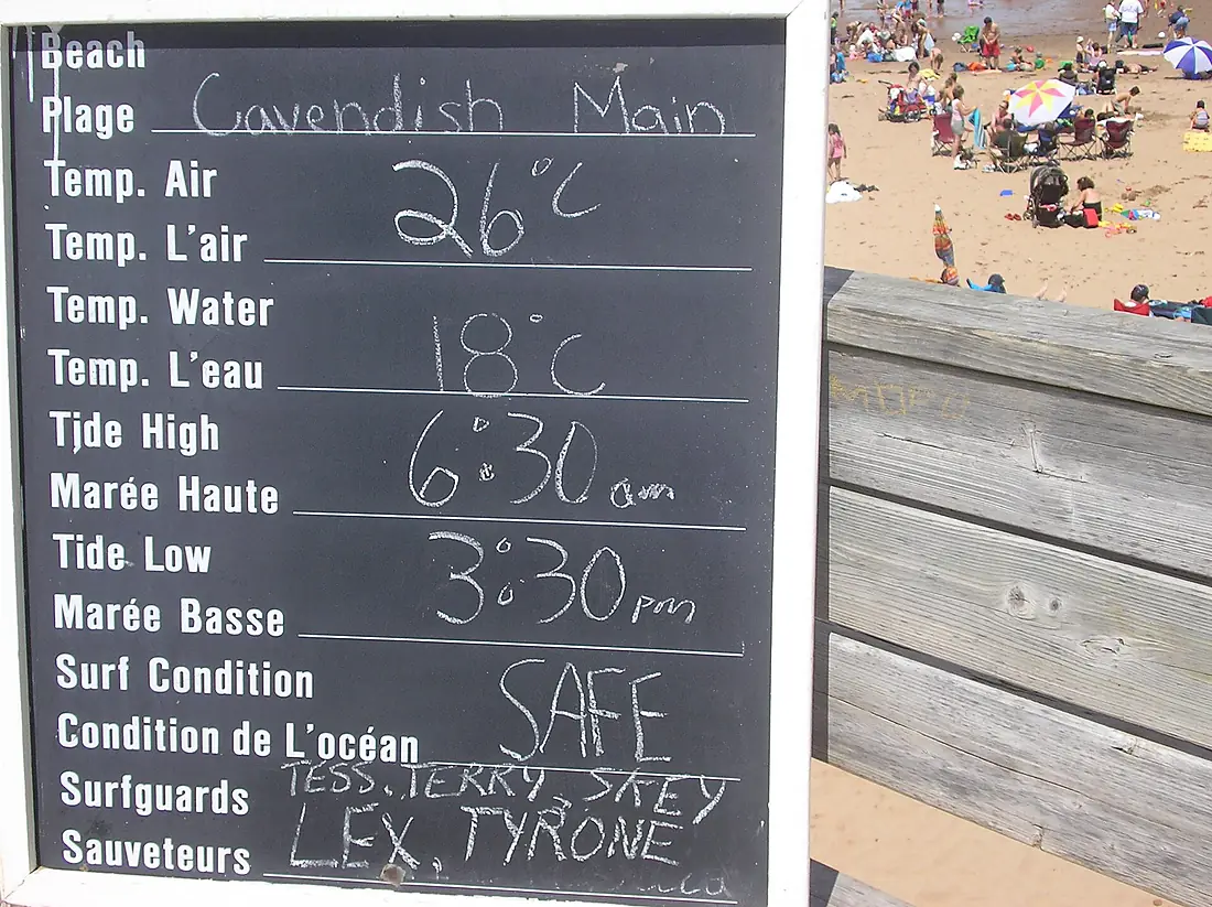 Main beach board 06