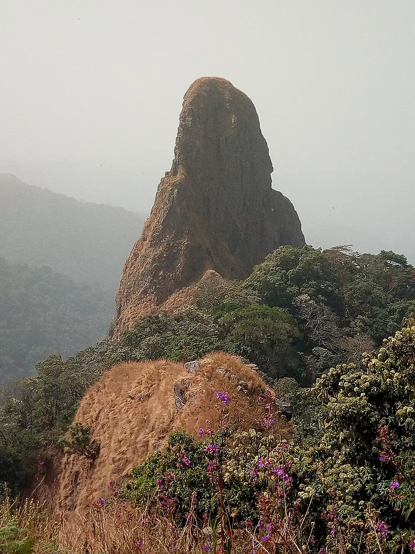 Chappal Waddi' is a mountain