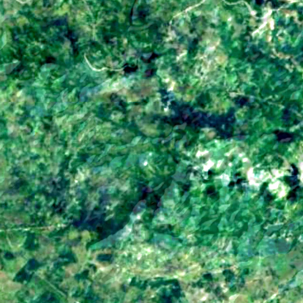 Chocolate Hills seen from above (Sentinel-2)