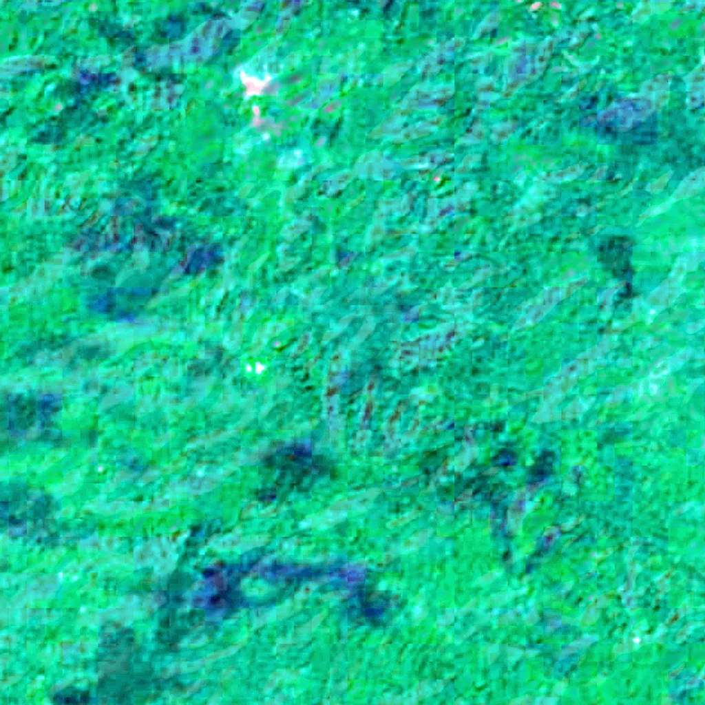 Coiba seen from above (Sentinel-2)