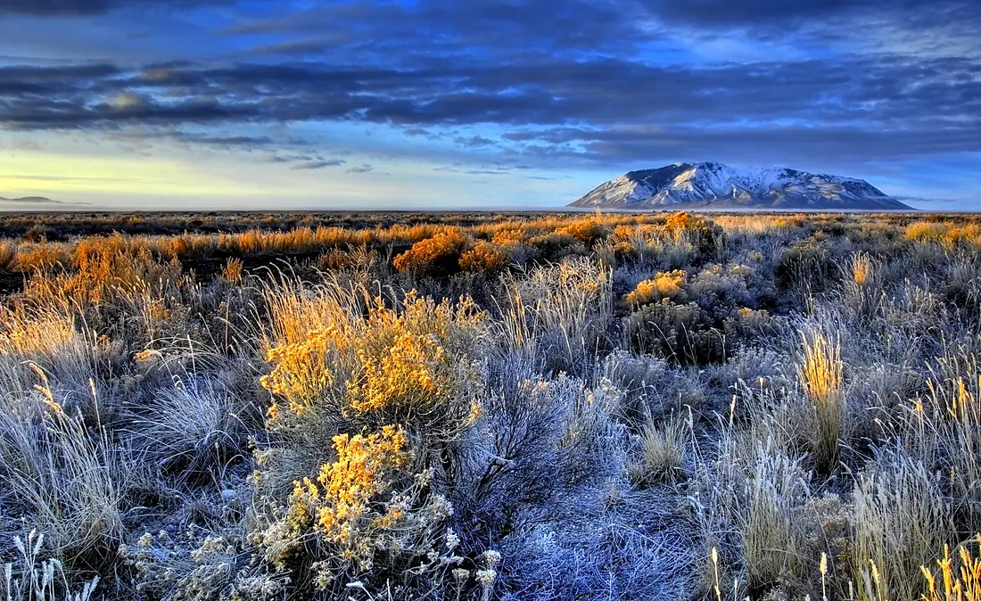 -mypubliclandsroadtrip 2016- Places That Rock, Craters of the Moon National Monument (27477264490)