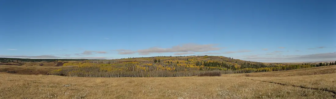 A panorama of Cypress Hills