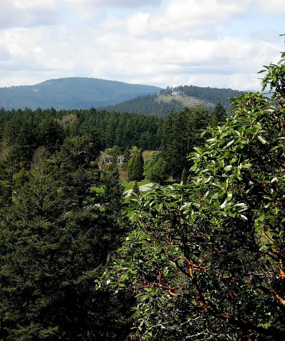 Looking North to Observatory. VIEW IN PANORAMIO FOR DESCRIPTION - panoramio