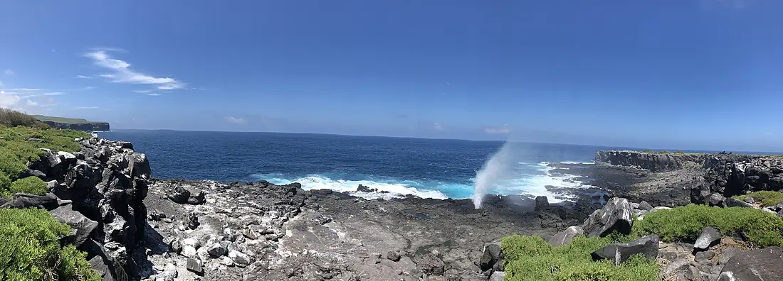 Española Island , Galapagos (47932320783)