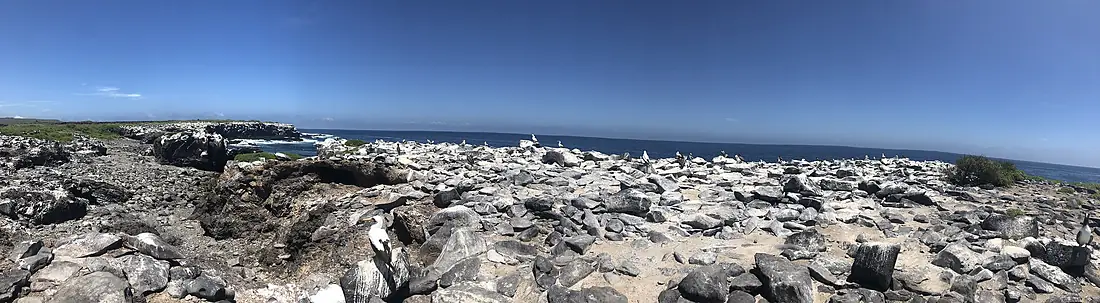 Española Island (47932321688)