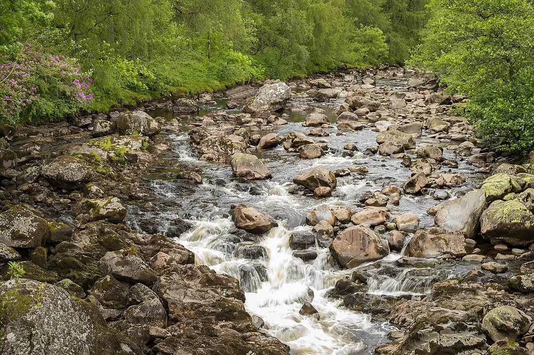 Galloway Forest Park, Glentrool (48119283333)