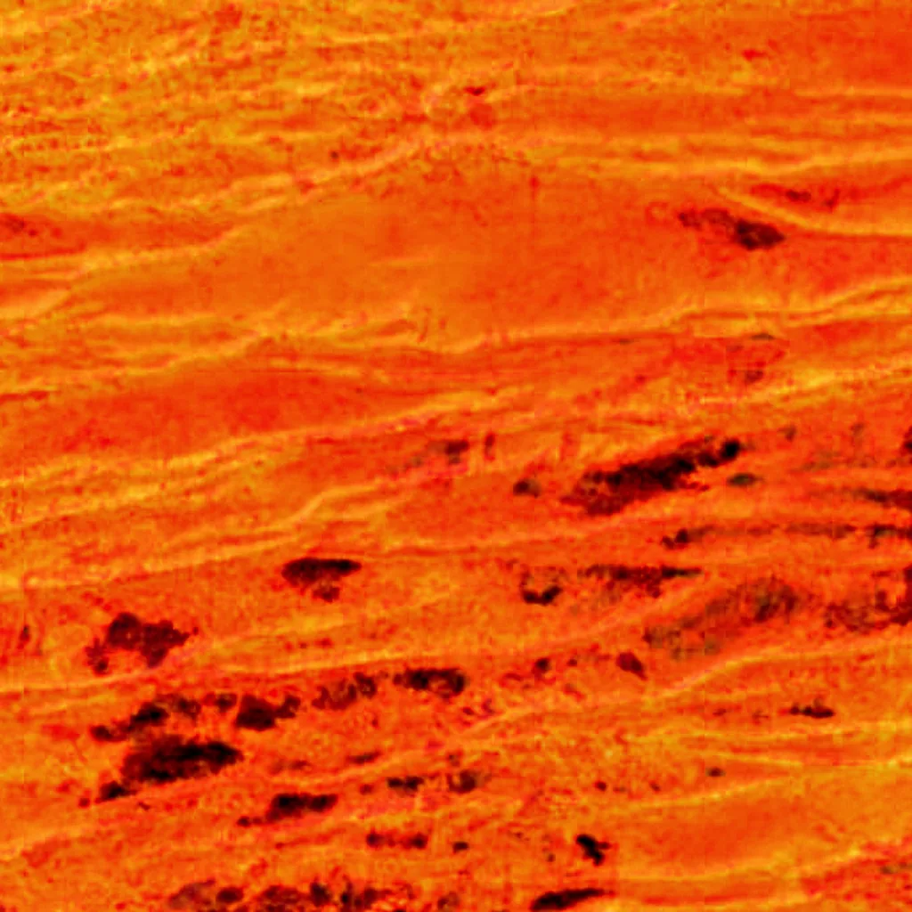 Gibson Desert seen from above (Sentinel-2)
