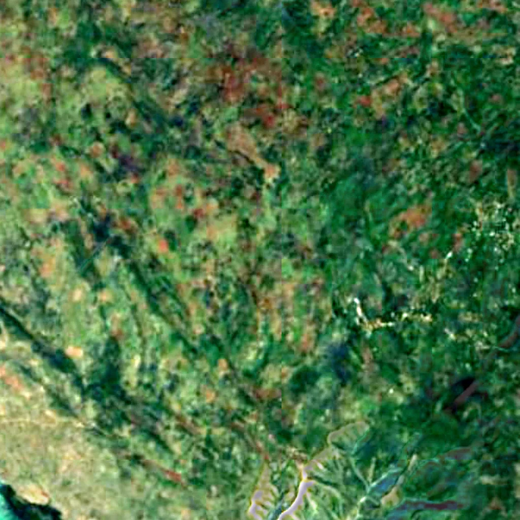 Gonâve Island seen from above (Sentinel-2)