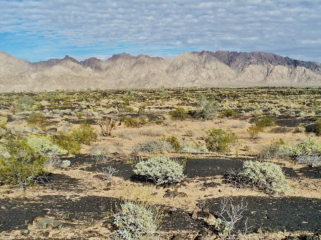 El Pinacate y Gran Desierto de Altar (15945593066)