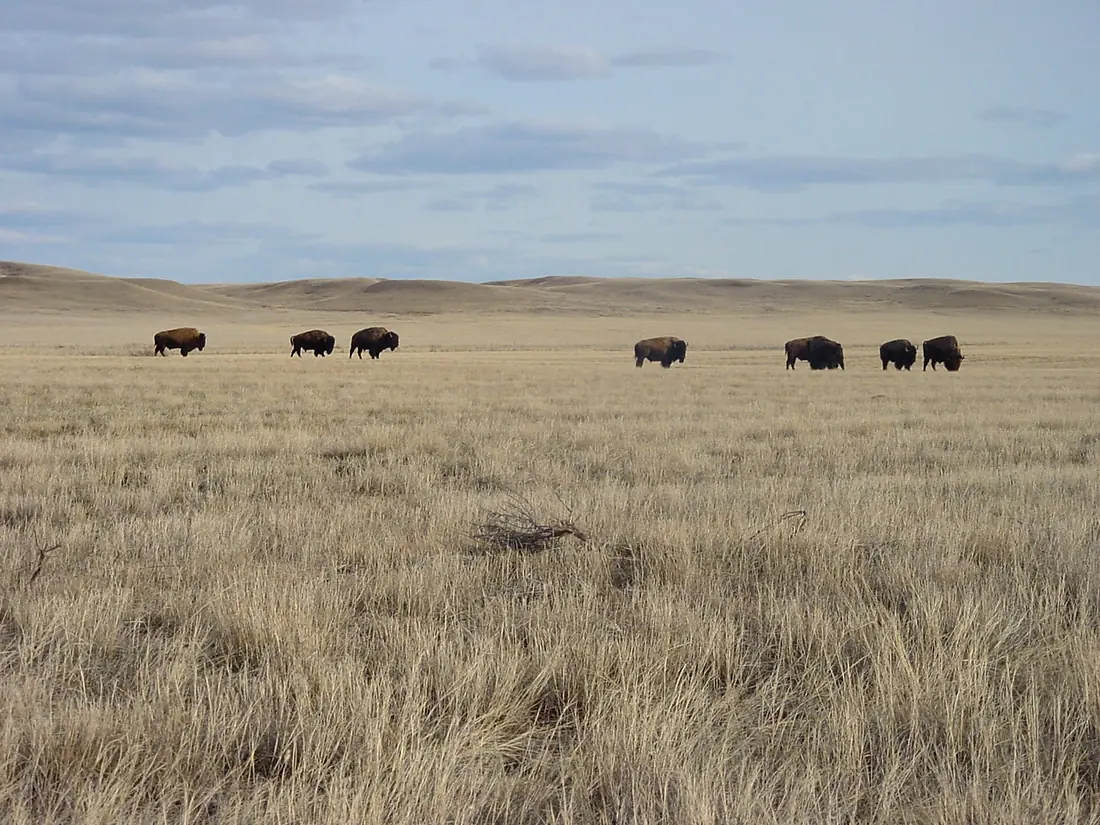 Saskatchewan - Grasslands National Park 02