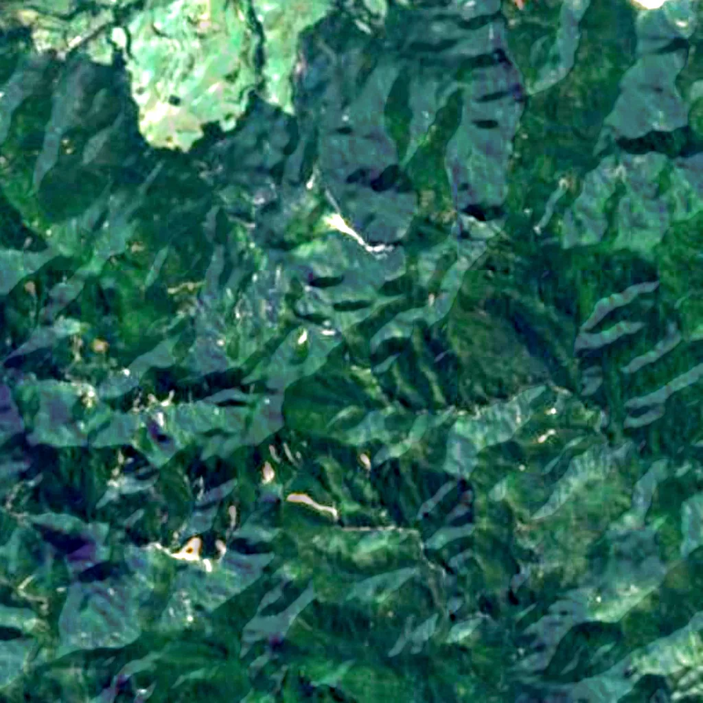 Great Barrier Island seen from above (Sentinel-2)