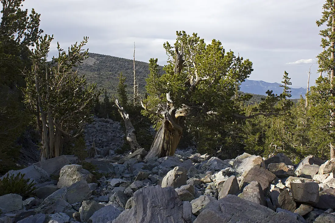 Great Basin 02