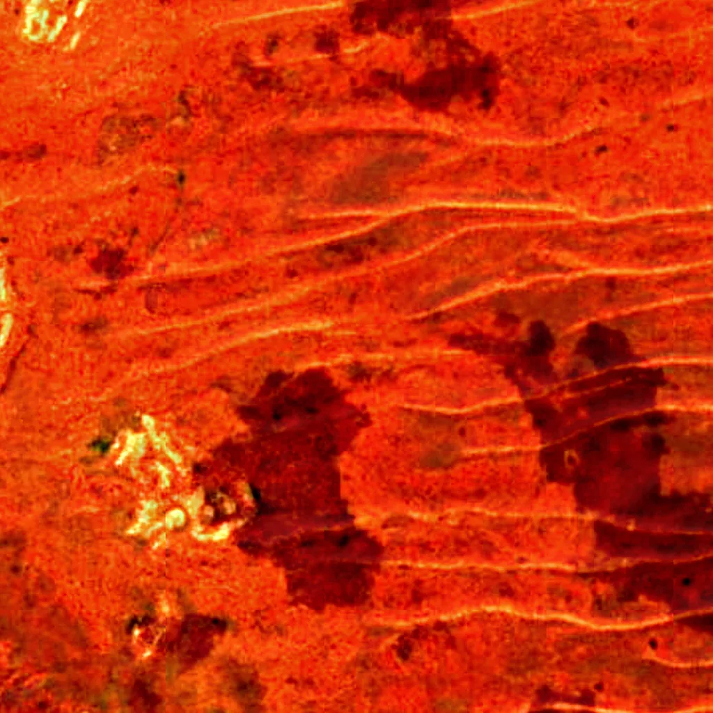 Great Victoria Desert seen from above (Sentinel-2)