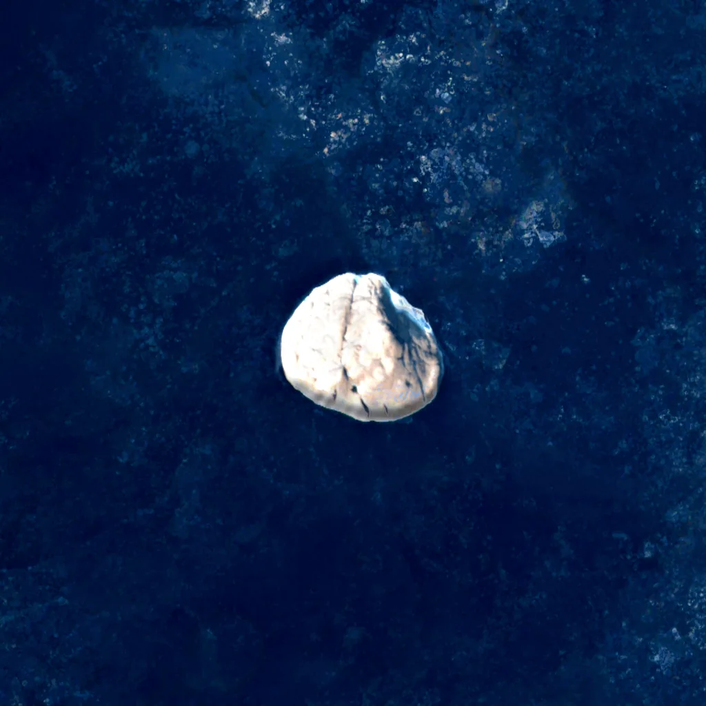 Hans Island seen from above (Sentinel-2)
