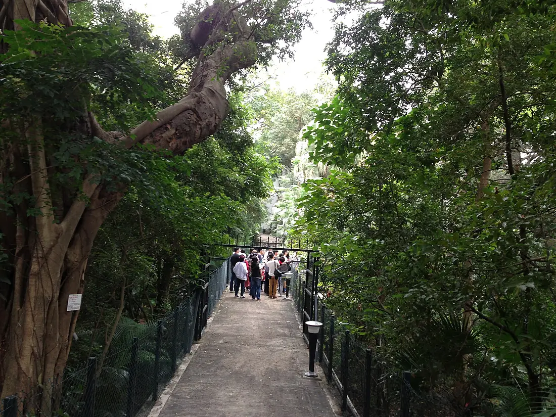 Hong Kong Observatory Grounds