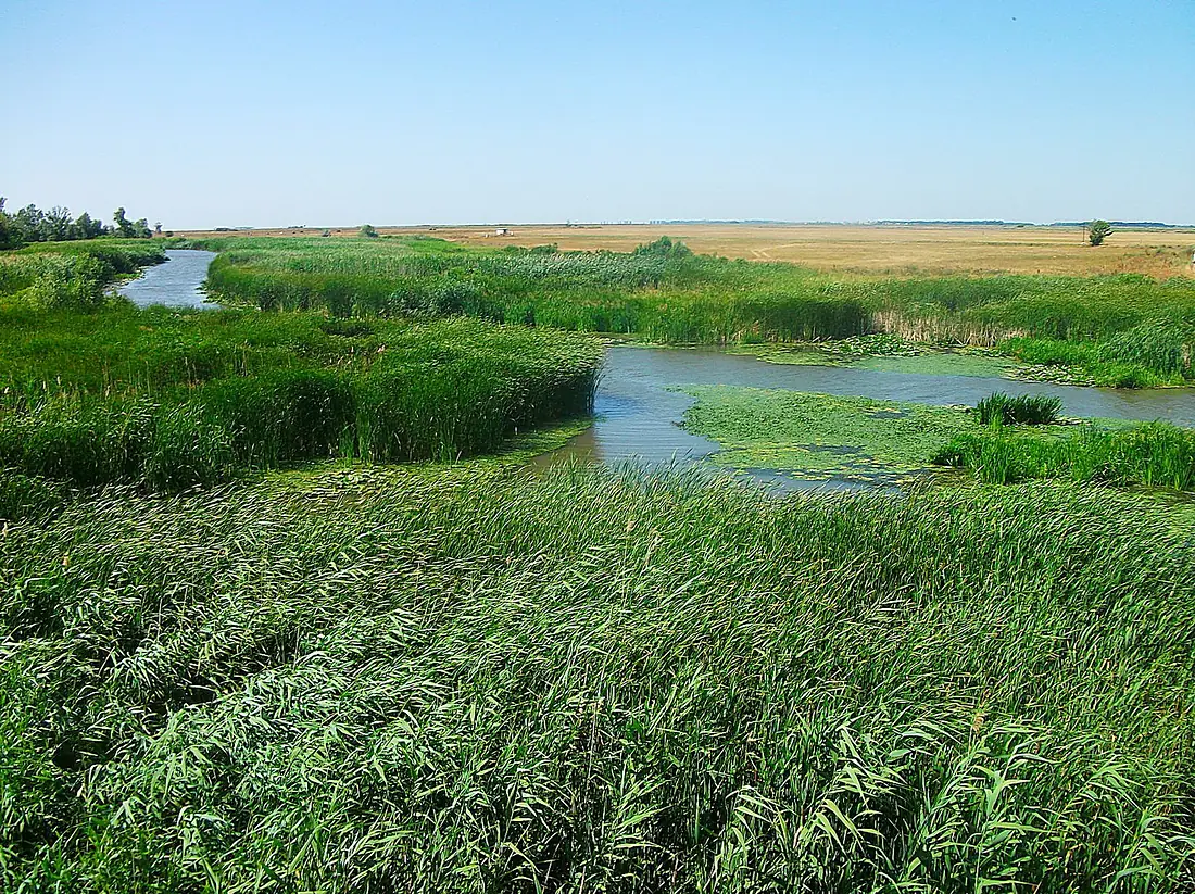Hortobágy River, Hungary 02
