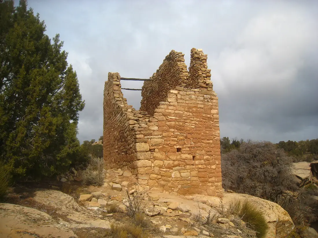 Holly Hovenweep (4072824148)
