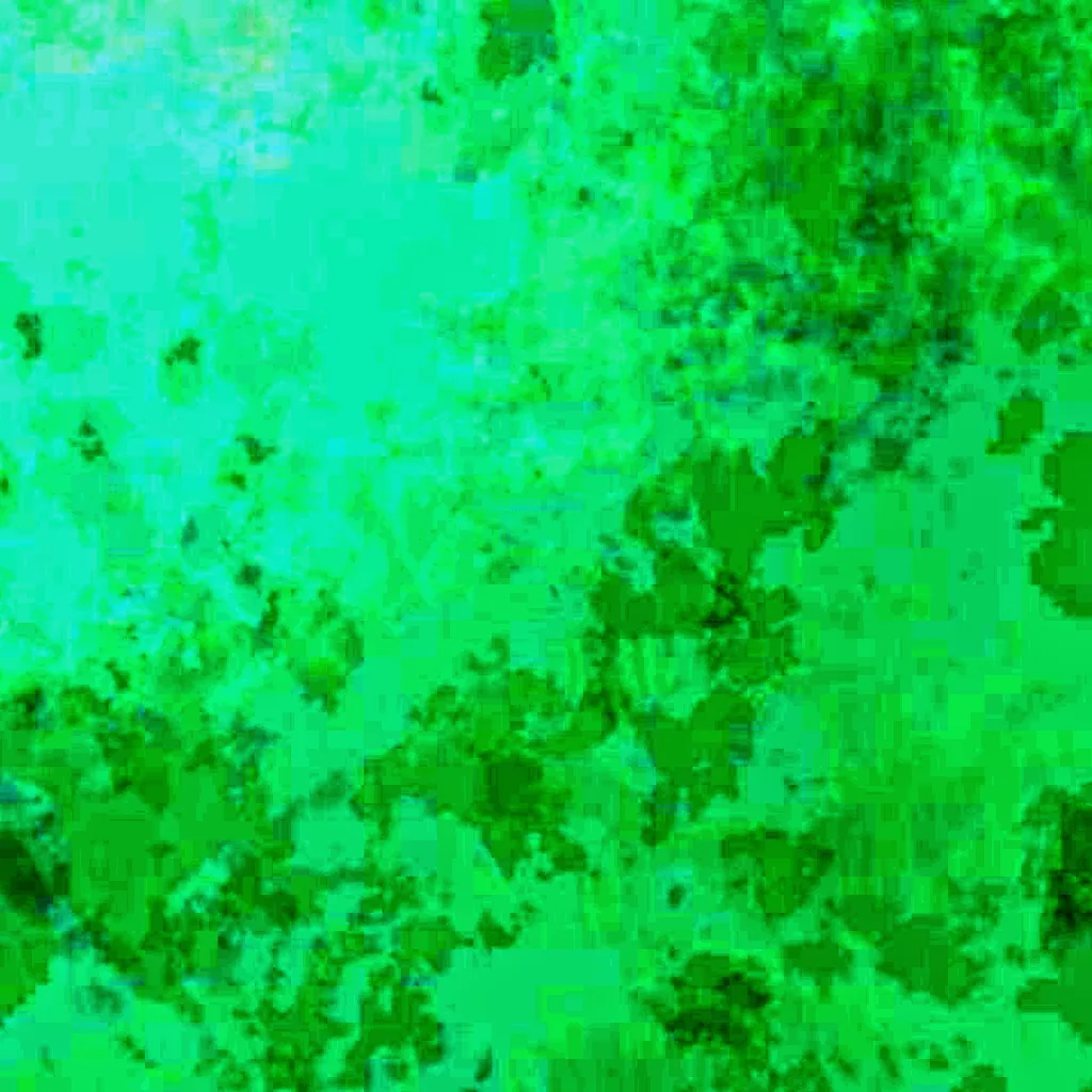 Hulun Lake seen from above (Sentinel-2)