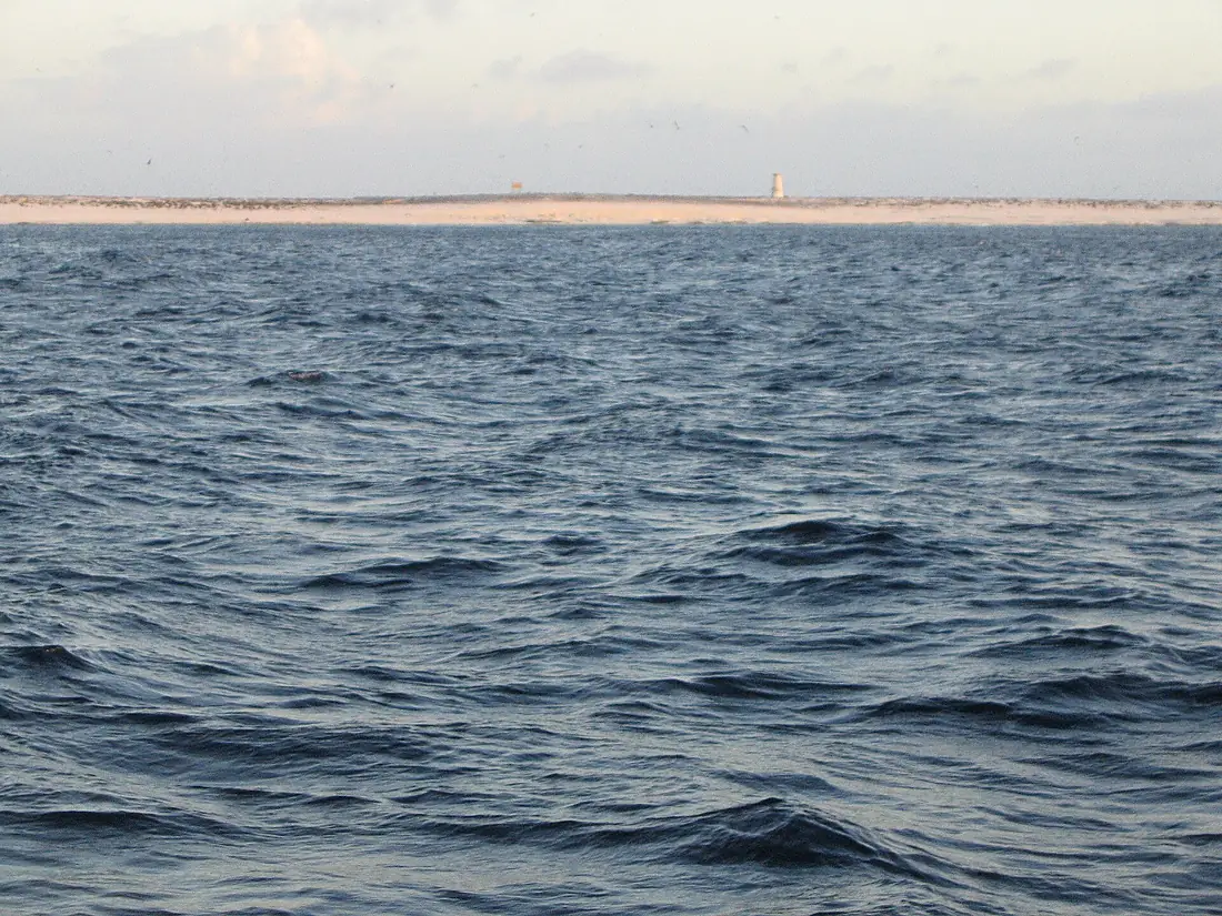 Jarvis Island Coast
