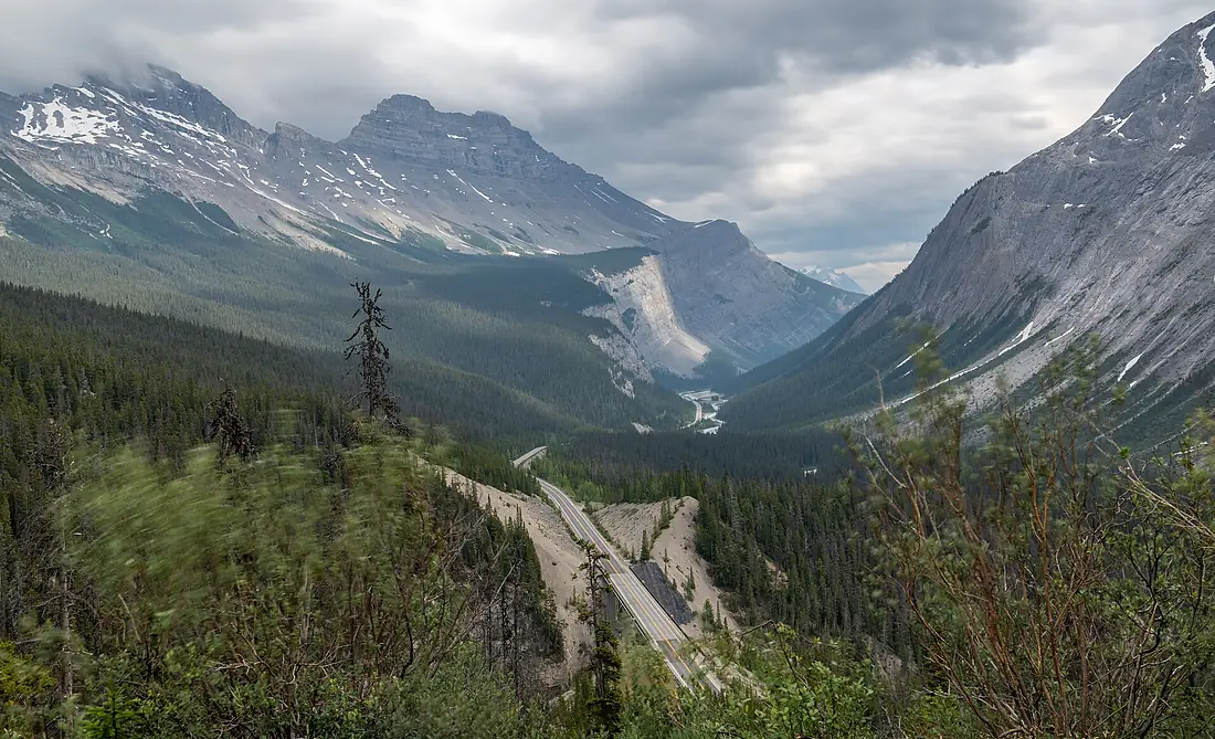 Icefields Parkway from an elevated viewpoint, Jasper National Park, Alberta, Canada