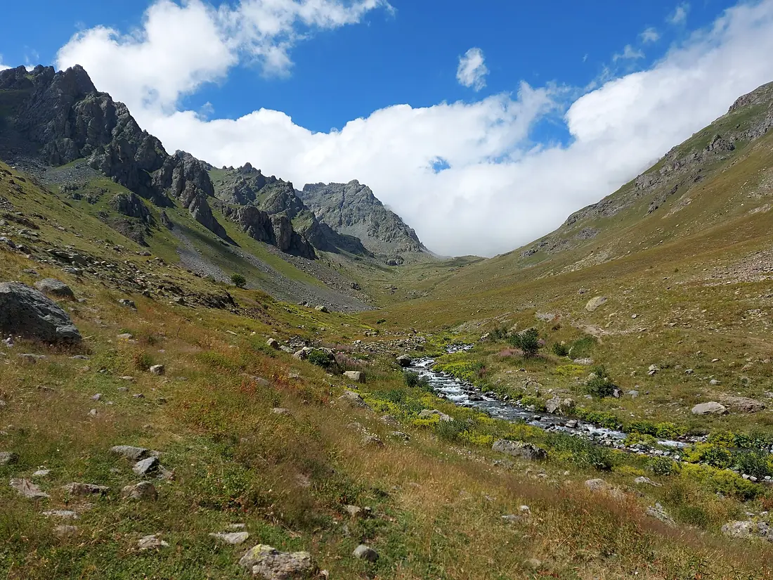 ERZURUM KACKARLAR