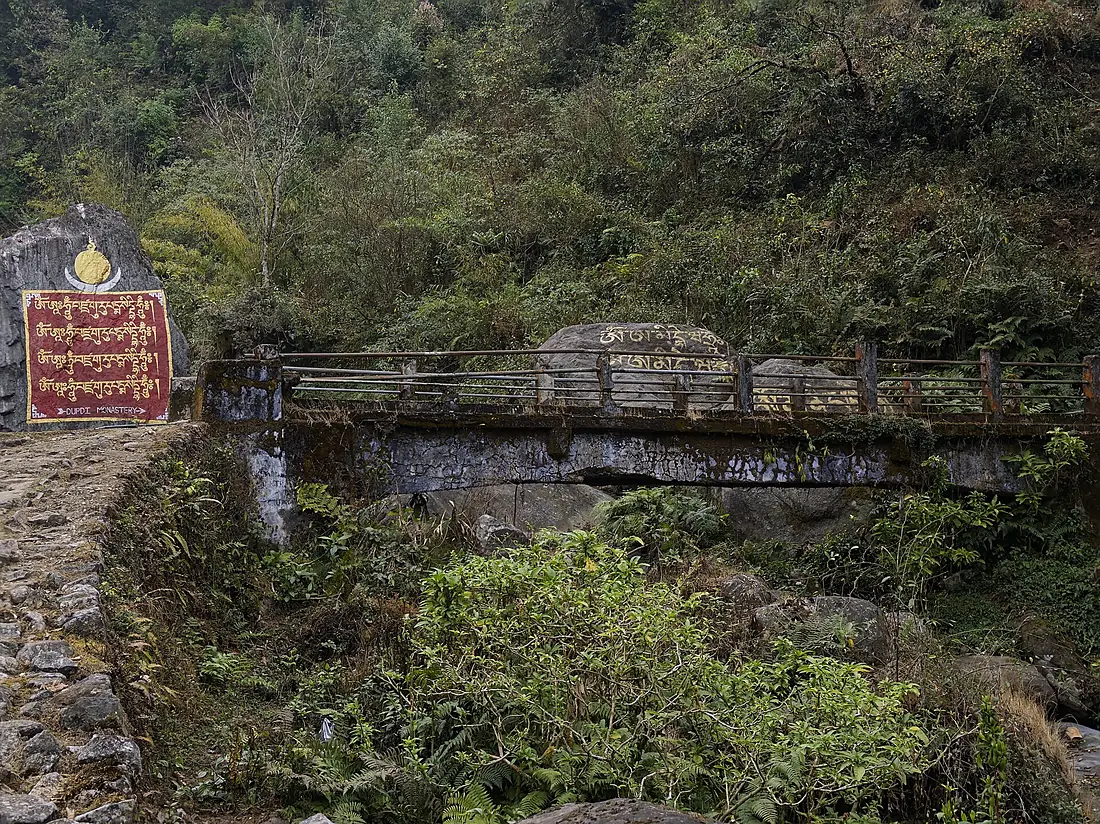 Bridge en Route to Dubdi Monastery from Yuksom