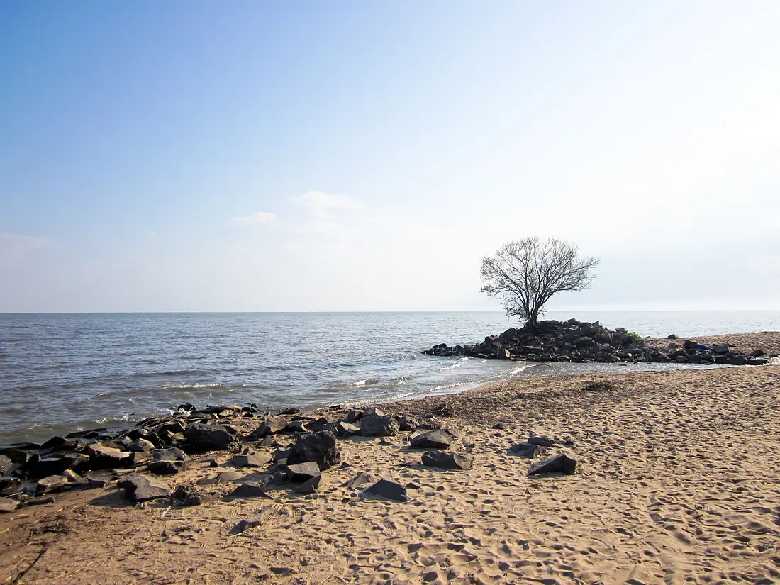 Beach of Khanka Lake
