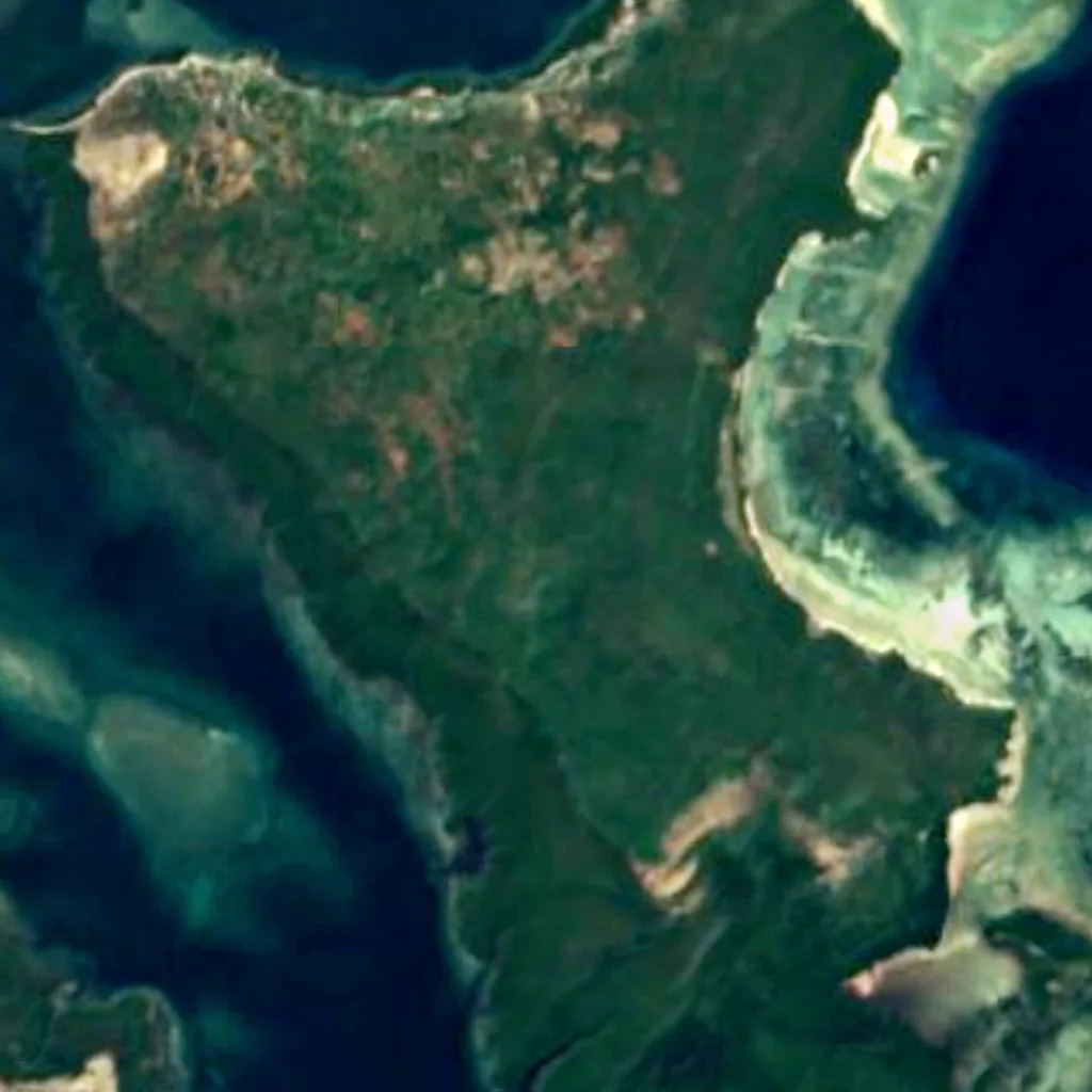 Kilwa Kisiwani seen from above (Sentinel-2)
