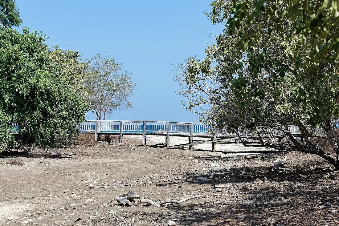 Old, damaged pedestrian bridge on Komodo Island, Indonesia, 20250822 1316 2734
