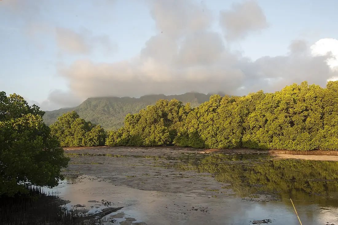 Kosrae-33 (21181969224)
