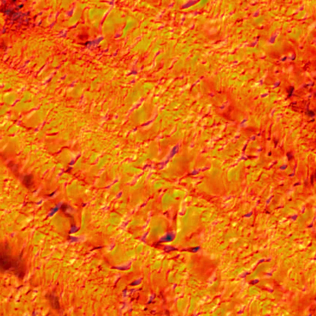 Kumtag Desert seen from above (Sentinel-2)