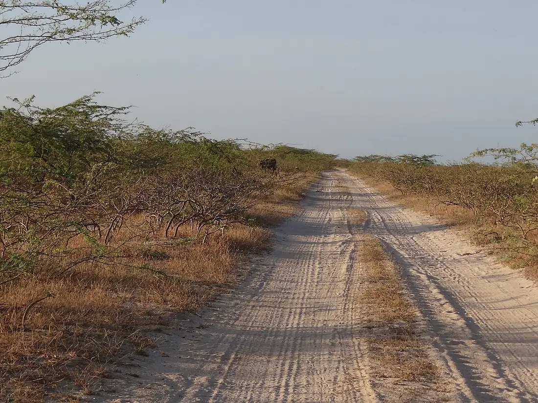Carretera desierto de La Guajira