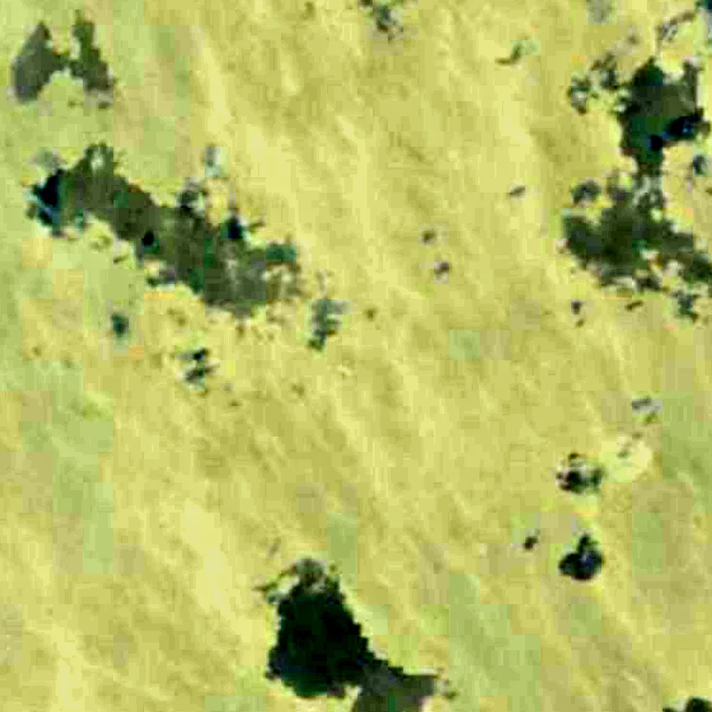 Lagoa Mirim seen from above (Sentinel-2)