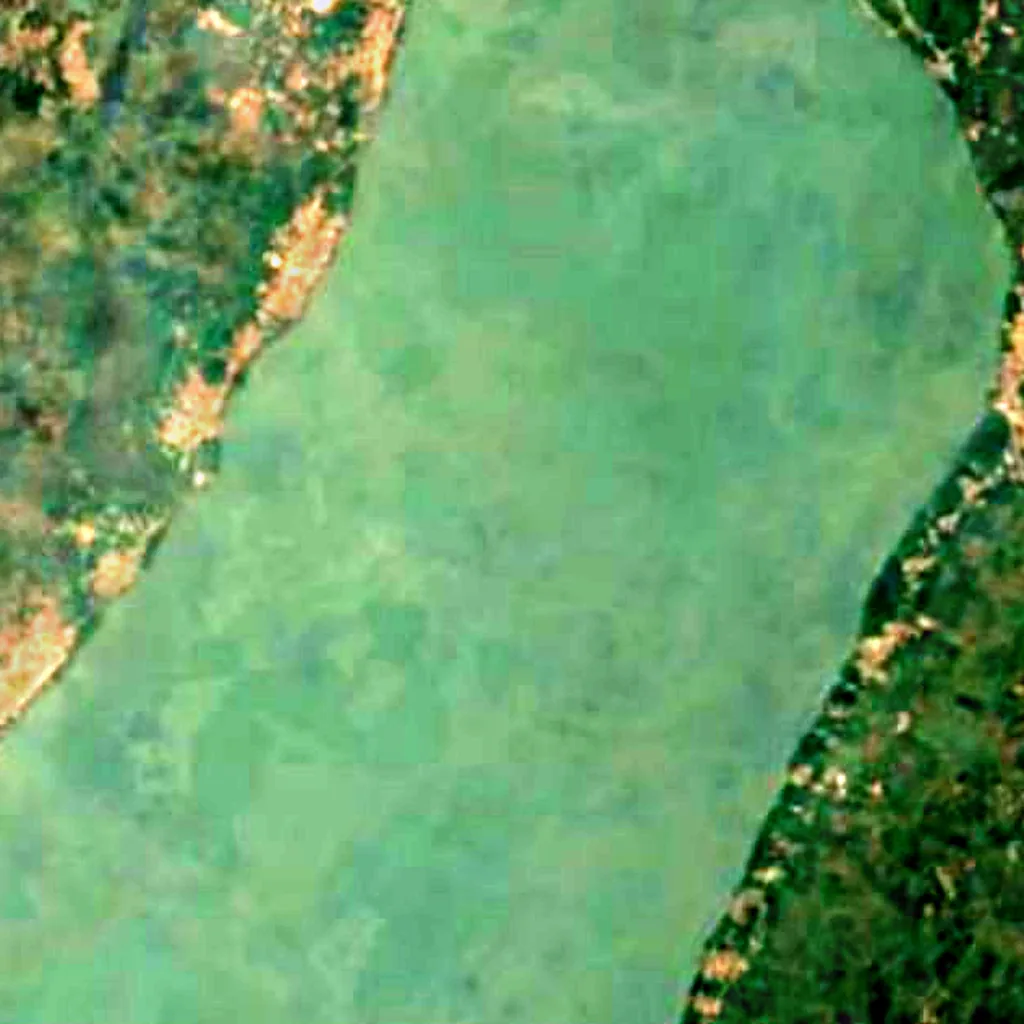 Lake Ahémé seen from above (Sentinel-2)