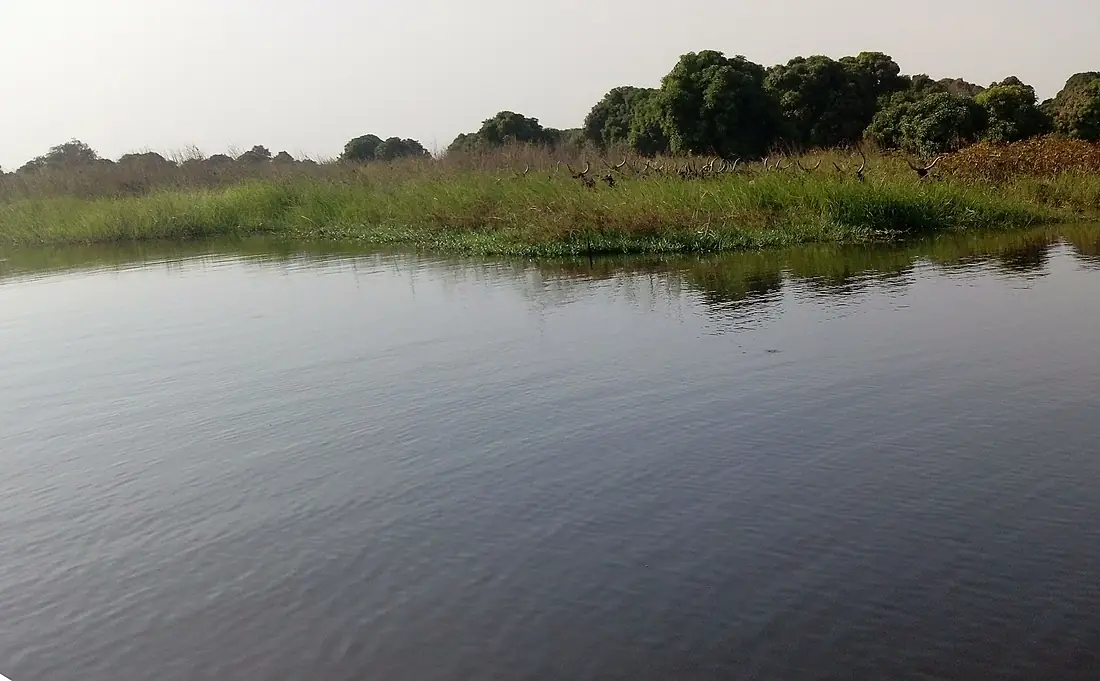 Lake chad shore (detilt)